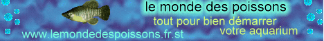 Le monde des poissons